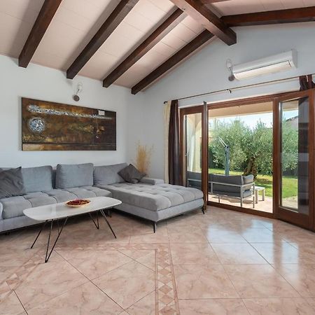 Villa Lucas Novigrad  Zewnętrze zdjęcie