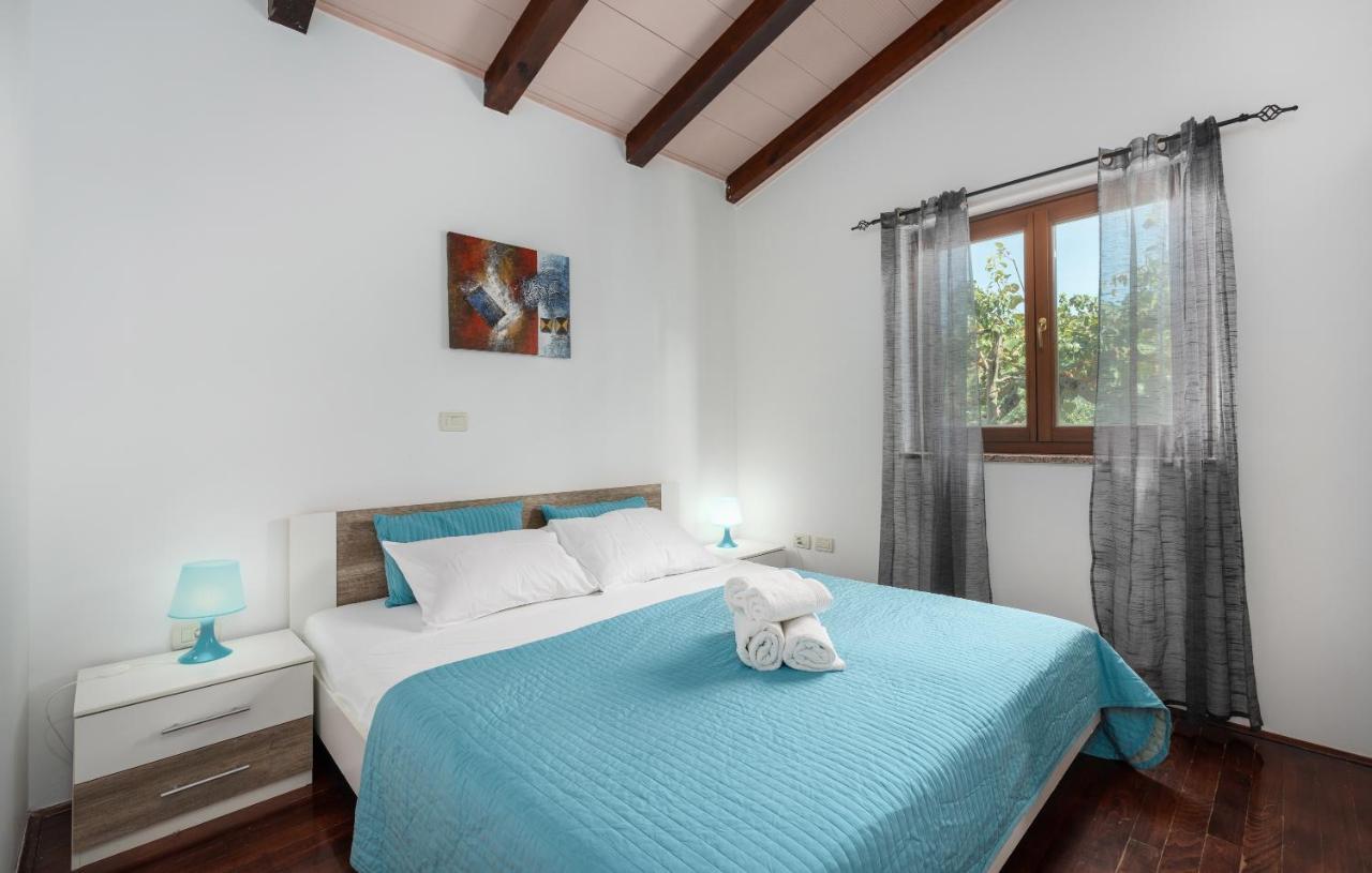Villa Lucas Novigrad  Zewnętrze zdjęcie